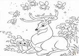 Deer Coloring Pages Bambi Printable Hunting Kids Buck Baby Family Whitetail Print Drawing Color Roe Getcolorings Bestcoloringpagesforkids Disney Popular Animal sketch template