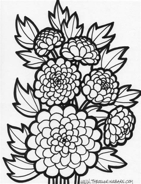 marigold coloring pages coloring home