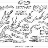 Getdrawings Driftwood Vector sketch template