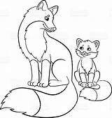Fox Coloring Baby Pages Cute Foxes Drawing Printable Mother Kitsune Cartoon Adults Red Narwhal Fennec Realistic Color Kids Getcolorings Family sketch template