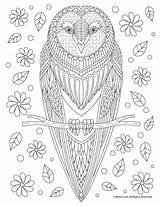 Coloring Owl Adult Pages Fall Mandala Adults Animal Printable Woojr Color Printables Bird Book Print Coloringbay sketch template