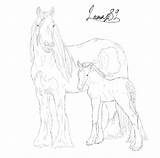 Foal Vanner Swirls Getdrawings sketch template