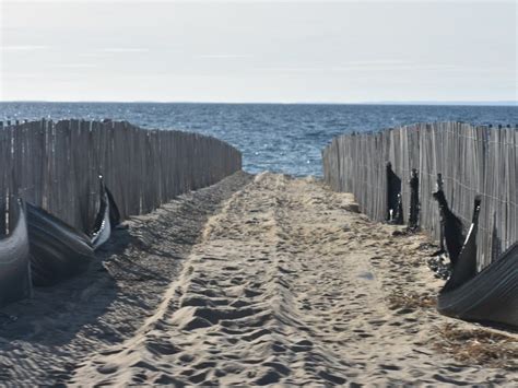 All Gender Topless Beaches On Nantucket Gets Ok From Ag Across