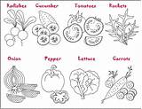 Vegetable Ecoloring sketch template