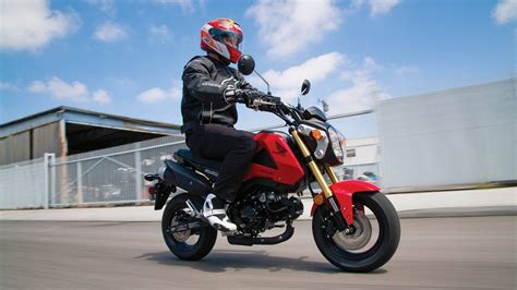 honda grom pictures  wallpapers top speed