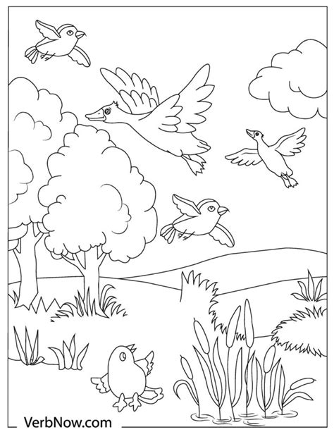 bird coloring pages    verbnow