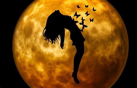 evening moon night · free photo on pixabay