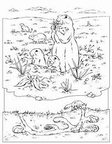Coloring Dog Prairie Pages Animals Book Kids Color Printable Sheet Burrow Drawing Animal Template Fuzz Frenzy Great Popular Nationalgeographic sketch template