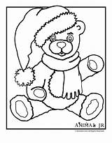 Coloring Teddy Bear Pages Christmas Printable Clipart Library sketch template