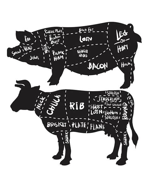 sale cut  meat set pork  beef cuts diagram  butchery set pork cuts diagram