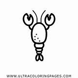 Langosta Hummer Ausmalbilder Crayfish Iconfinder Ultracoloringpages sketch template