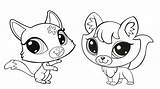 Coloring Pet Shop Pages Lps Littlest Little Spaniel Cat Cocker Dog Kids Pets Store Fox Printable Copy Silhouette Colouring Drawing sketch template