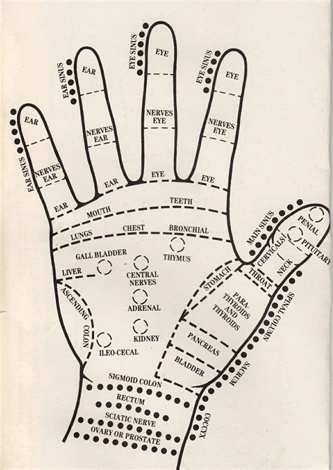 Hand Pressure Points Hand Reflexology Debt Reduction Hand Massage