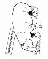 Zoo Coloring Pages Animals Animal Honkingdonkey Hippopotamus Exhibit sketch template