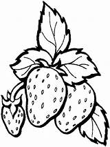 Strawberry Dibujos Fresas Frutas Fresa Frutta Strawberries Disegni Colorare Verdura Fraises Bordar Frutti Shortcake Topcoloringpages Fragole Bush Laminas sketch template