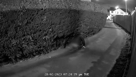 hunt for man caught on cctv having poo on driveway wales online