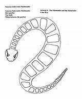 Snake Printable Templates Template Namib Outline Snakes Sidewinder Pbs Coloring Activity Color Edens Popular sketch template