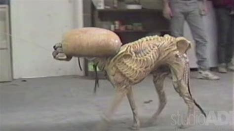 xenomorph dog costume
