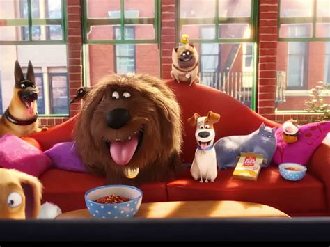 Pet sex movies