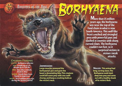 borhyaena wierd nwild creatures wiki