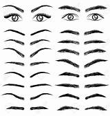Eyebrows Eyebrow Eyes Vector Man Clipart Draw Illustration Sketch Anime Stock Drawing Dibujo Eye Drawings Cartoon Different Styles Guy Arched sketch template