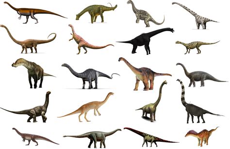 sauropodomorpha dinopedia fandom