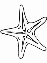 Coloring Starfish Pages Fish Star Drawing Simple Printable Clipartmag Print Colouring sketch template