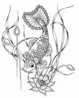 Coloring Fish Koi Pages Japanese Carp Drawing Colouring Adult Getdrawings Visitar Para sketch template