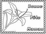 Maman Fete Fête Mamie Mere Mères Coloriages sketch template