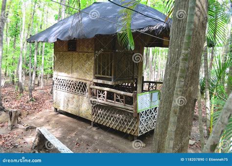 traditional nipa house   philippines stock photo image  forest summer