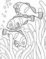 Animal Printable Pages Coloring Kids Getcolorings Awesome Sea sketch template