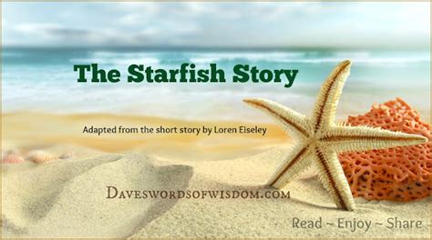 daveswordsofwisdomcom  starfish story