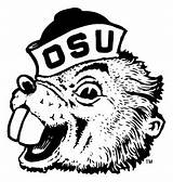 Oregon State Beavers Logo University Coloring Pages College Vintage Beaver Sketch Osu Old Mascot Logos Apparel Sports Mascots Football Template sketch template
