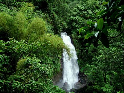 Waterfalls In Dominica S Rainforest 3 Kaya420 Flickr