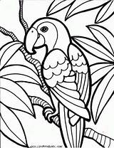 Burung Coloring Lembaran Mewarna Prasekolah Nuri Aktiviti Gambar Haiwan Parrot Jungle Tropical Parrots Flowers Pulapah Laman Saya sketch template