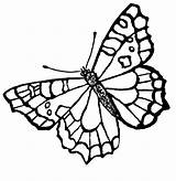 Coloring Pages Butterfly Kids Popular sketch template