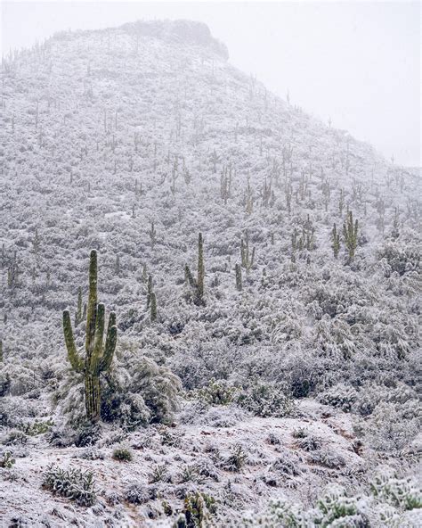 rare desert snow dusting  peaks arizona  wallpaperable