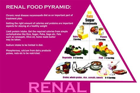kidney daily diet foods httprenaldietus renal diet