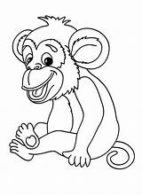Affe Singe Hellokids Chimpance Affen Ausmalbilder Changos Imprimer Monos Imprimir Imgde Gorilas Ausmalbild Chimpancés Tiere Chachipedia sketch template