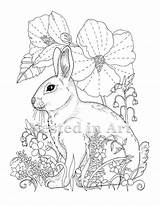 Coloring Adult Bunny Hibiscus Digital sketch template