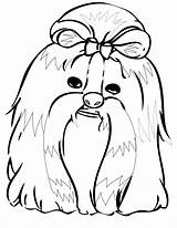 Tzu Shih Coloring Pages Dog Color Dogs Printable Drawing Kids Crayola Animal Grooming Getdrawings Getcolorings Print Animals Sheets Adult Visit sketch template