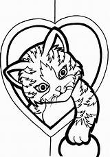 Pages Coloring Cute Cat Kitten Kids Heart Printable Colouring Colour Color Sheets Kittens Valentine Realistic Hearts Adults Colring Print Adult sketch template