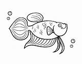 Carpa Peixinho Pesce Dourado Dorada Poisson Colorier Acolore Lanterna Stampare Coloritou sketch template