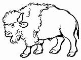 Bison Coloring Pages Printable Kids Buffalo sketch template