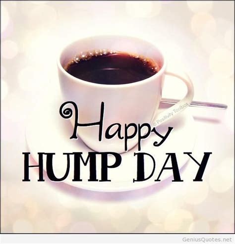 happy hump day meme images humor and funny pics