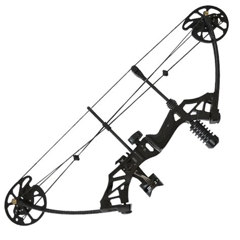 compound bow   lbs outdoor fishing competitive shooting bow  arrow mechanical bow outdoor