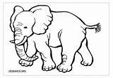 Elefantes Imprima sketch template