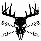 Deer Skull Drawing Clipart Whitetail Tribal Arrows Drawings Head Hunting Archery Decal Bow Tattoos Tail Skulls Tattoo Clip Clipartmag Shull sketch template