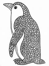 Pages Coloring Penguin Zentangle Adults Adult Printable sketch template