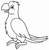 Parrot Papagaio Colorir Papagei Burung Mewarnai Kakak Desenhos Hewan Cool2bkids Loros Ausdrucken Poplembrancinhas sketch template